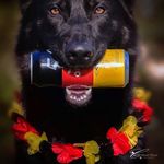 Paul Müller - @pauldoppelpaul - Instagram
