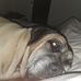 Paul Dorey - Facebook