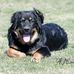 Paul Dost - Facebook