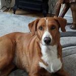 Paul Dove - @pauld708 - Instagram