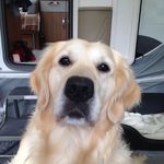 Paul Dowell - @paul.dowell3 - Instagram