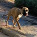 Paul Dowell - Facebook