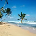 Paul Downs - @paul.downs.543 - Instagram