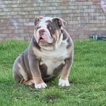 Paul dragoon - @dragoon.paul - Instagram