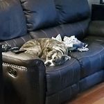 Paul Drye - @paul.drye.5 - Instagram