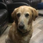 Paul AndTeddi Dubas - @paulandteddi - Instagram