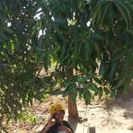 Paul Daud - Facebook