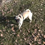 paulduetthorn - @paulduetthorn - Instagram