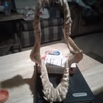 Paul Dufault - @paul.dufault.12 - Instagram