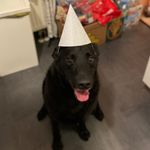Paul Duffner - @paulduffner - Instagram