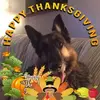 Paul Dulac965 - @pauldulac965 - TikTok