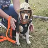 Paul Dulaney - @paul.dulaney - TikTok