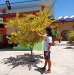 Paulo Dulay - Facebook