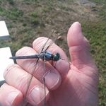 Paul Dunagan - @dunaganpaul - Instagram