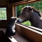 Paul Dunn - @pau.8602 - Instagram