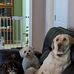 Paul Dunn - Facebook