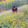 Paul Duong - @imnotpaul - TikTok