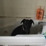 Paul Durrell - @paul.durrell - Instagram