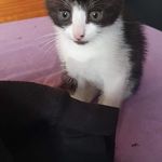 paul dye - @paul.dye98 - Instagram