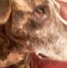 Paul Eads - Facebook