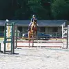 pauleberhardt4 - @pauleberhardt4 - TikTok