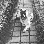 Paul Eberlein - @eberlein_paul - Instagram