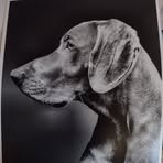 Paul Eberlein - Facebook