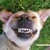 Paul Ebersole - Facebook