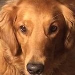 Paul Eckler - @paul_eckler - Instagram