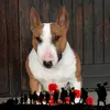 Paul Reddington - @paul.reddington - TikTok