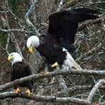 Paul Edens - @tomestone45 - Instagram
