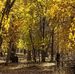 Paul Edens - Facebook