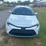 Paul Edens - @edens7831 - Instagram