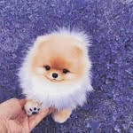 Paul Edison Dalaguiado - @pauledisondalaguiado - Instagram