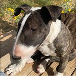 Paul Edsall - @paul.edsall - Instagram