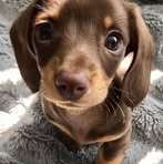 Paul Efrono - Facebook