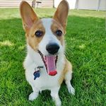 Paul Ehrhart - @ehrharpa - Instagram