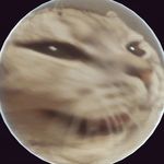 Paul - @paul_eichmann_ - Instagram