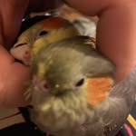 Paul Elbert Knipp - @pknipp33 - Instagram