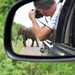 Paul Ellerbeck - @paul.ellerbeck - Instagram
