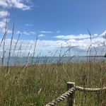 Paul Elms 🌱 - @paulelms - Instagram