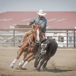 Paul Elsner - @coltstartinggypsy - Instagram