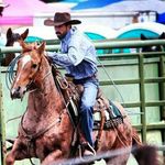 @paulelsner - Instagram
