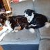 Paul Elson - Facebook