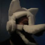 Paul Ely - @darminhusky - Instagram