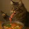 paul ông địa 🐈🐍 - @paul.la.gau.cua.em - TikTok
