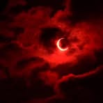 Paula Endicott - Facebook