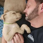 Paul Endsley - @pie1111 - Instagram