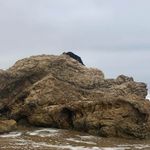 Paul Ramirez - @ensignpaul - Instagram