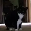 paulerdmann540 - @paulerdmann540 - TikTok